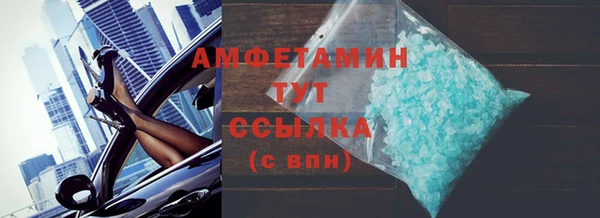 прущие грибы Беломорск