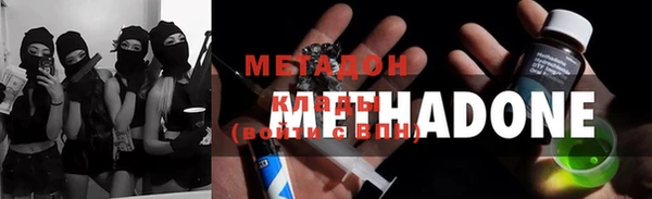 прущие грибы Беломорск