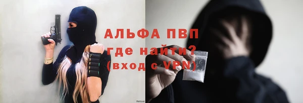 дмт Белокуриха