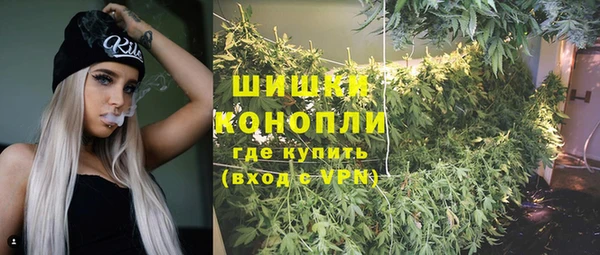 дмт Белокуриха