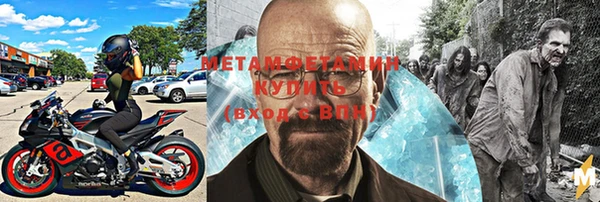 прущие грибы Беломорск