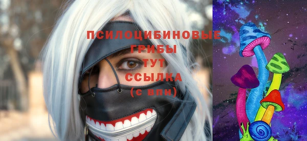 прущие грибы Беломорск