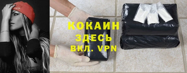 прущие грибы Беломорск