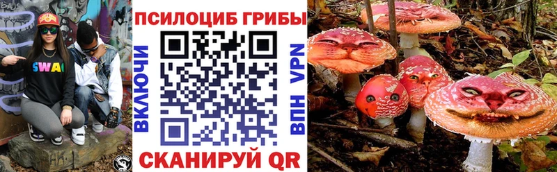 Псилоцибиновые грибы прущие грибы  darknet формула  Кстово 